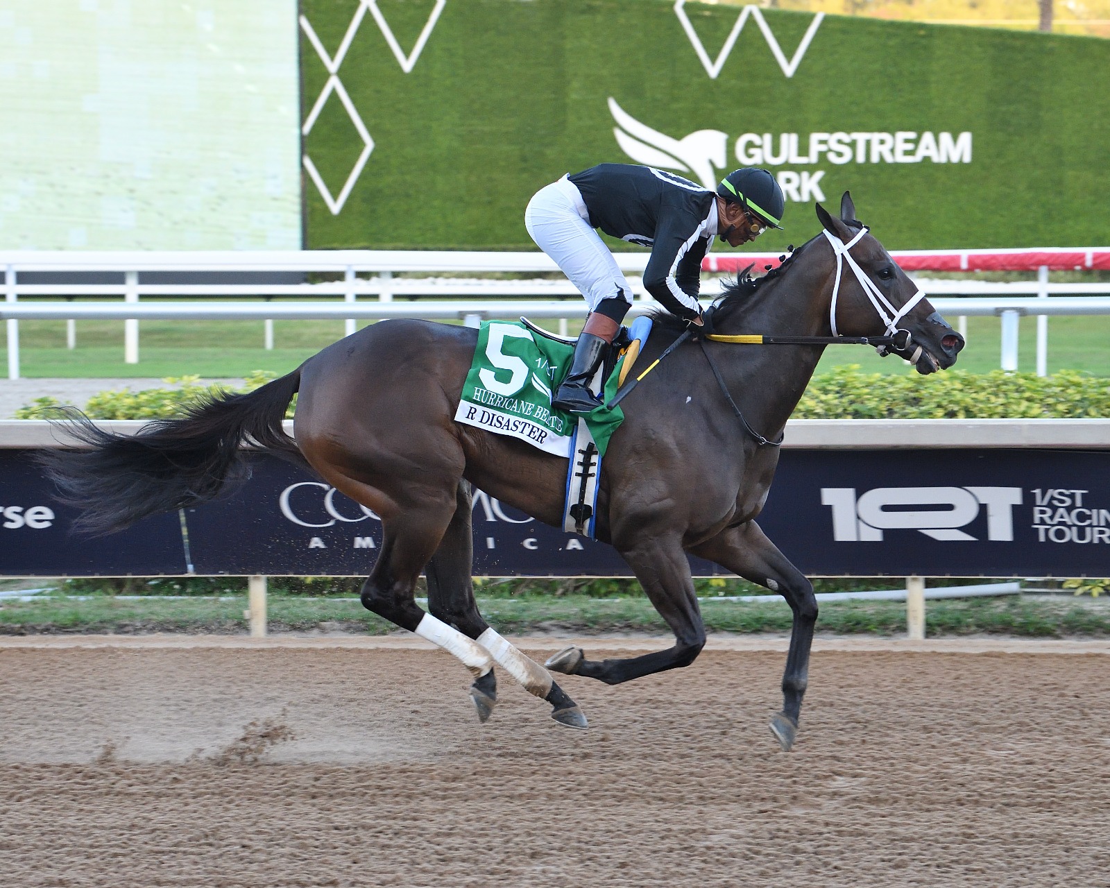 R Disaster winning the Hurricane Bertie (G3) at Gulfstream Park
