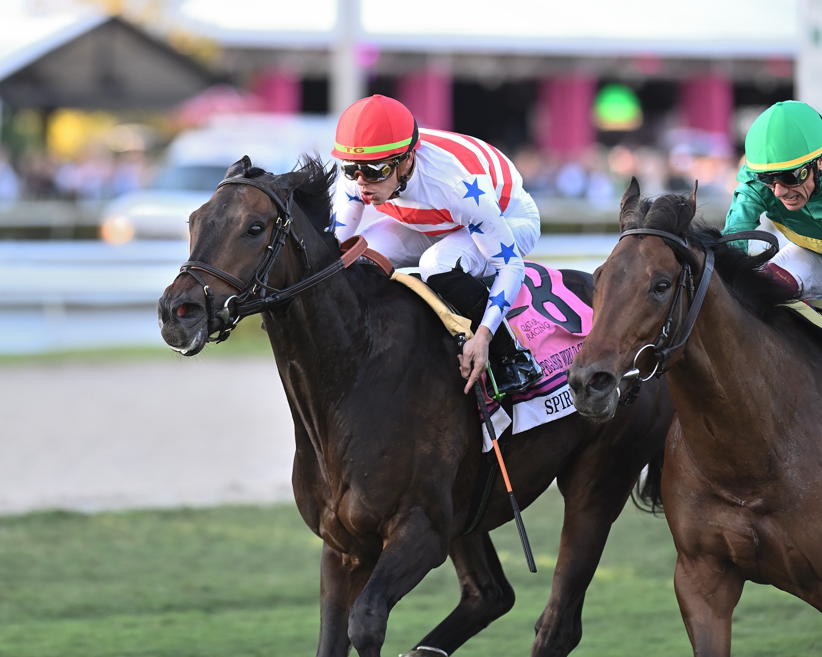The Puma racing ahead in Florida Derby 2026 prep at Gulfstream Park