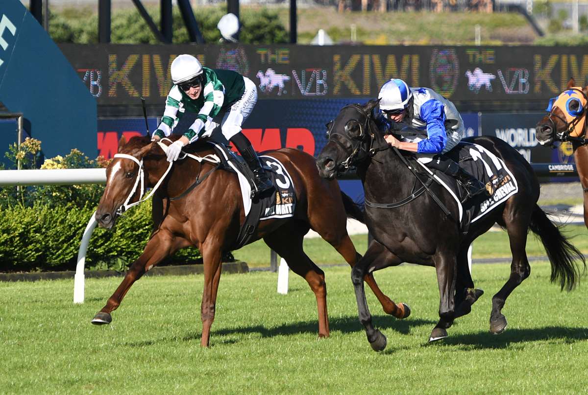 NZB Kiwi Results: Well Written winning the NZB Kiwi at Ellerslie Racecourse