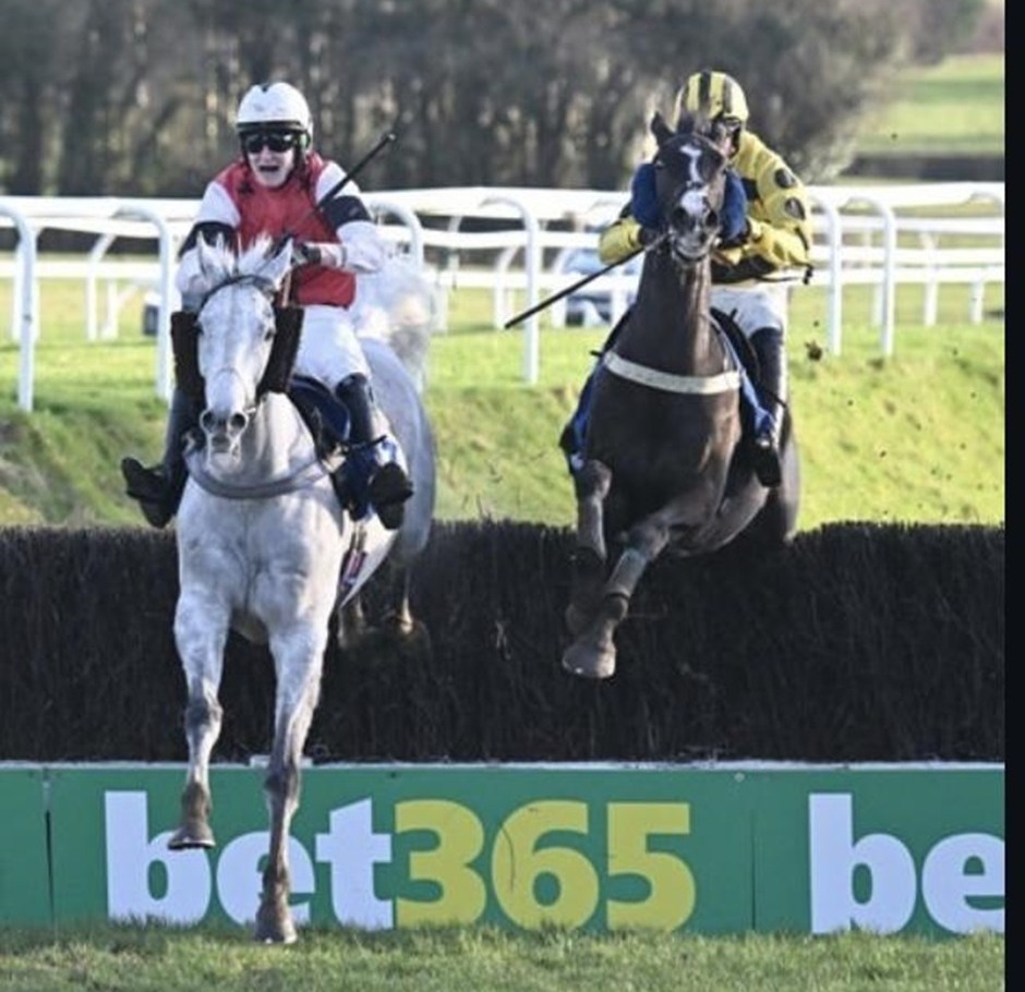 Leicester race cards 6 March steeplechase preview featuring Followcato