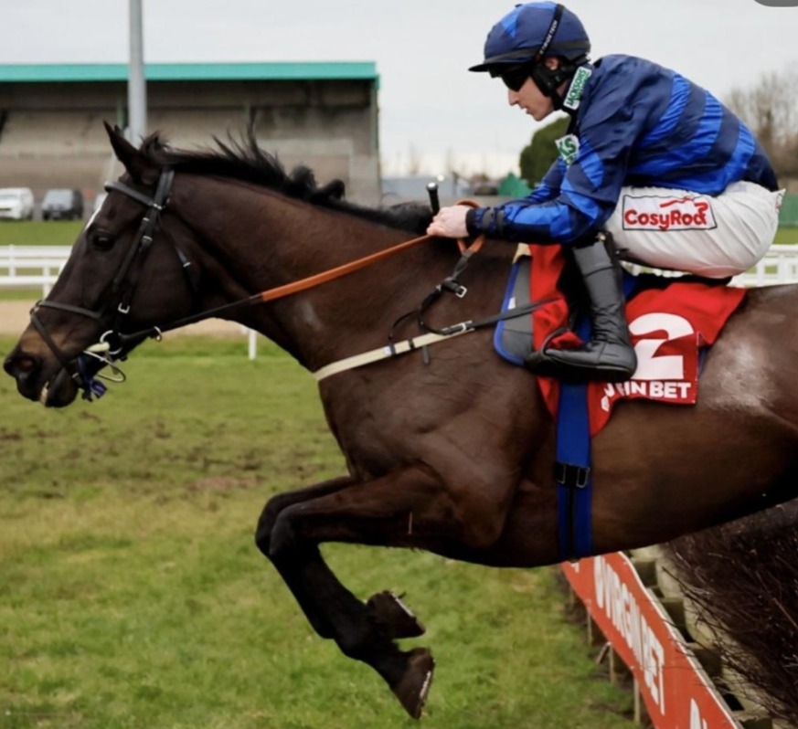 Newcastle racecards 12 march all weather horses racing at Newcastle Racecourse