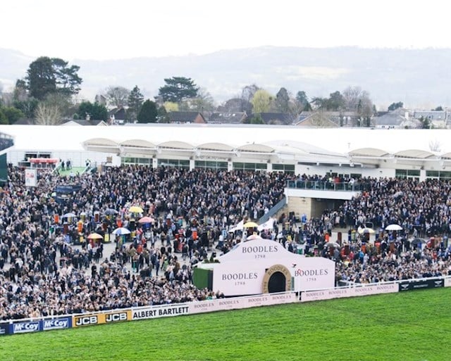 Paul Townend celebrates after winning the Boodles Cheltenham Gold Cup on Gaelic Warrior at Cheltenham Festival 2026 attendance