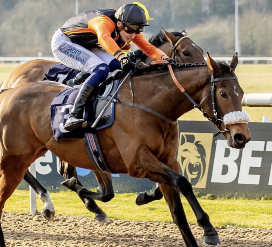 Wolverhampton racecards 16 March at Wolverhampton Racecourse