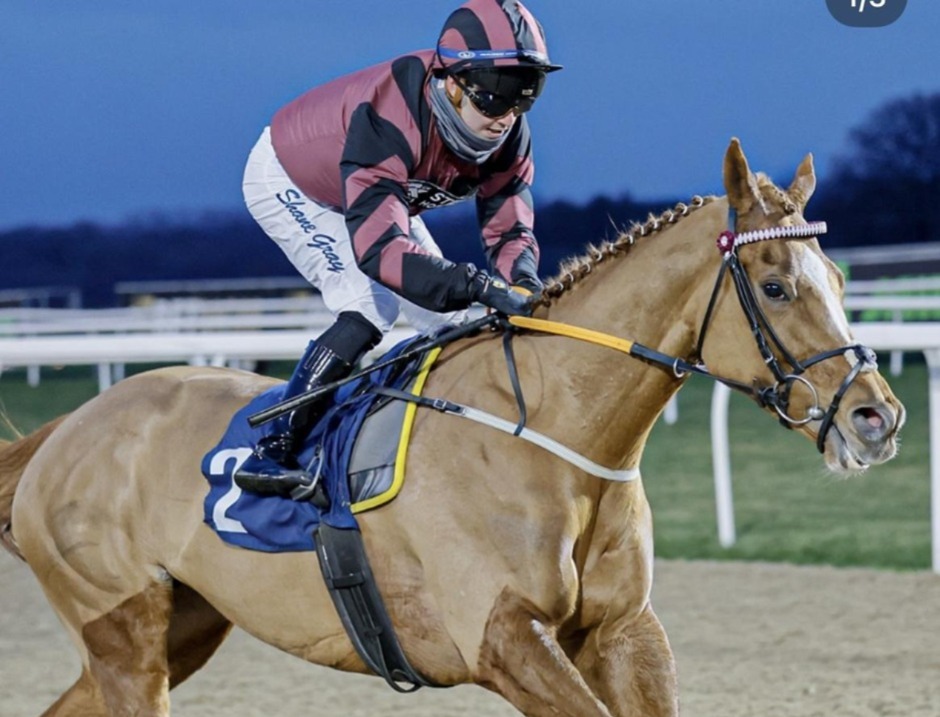Wolverhampton racecards 17 March at Wolverhampton Racecourse