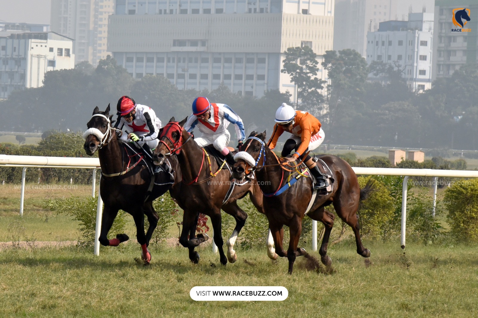 Kolkata Race Cards 20 March Adjudicate Cup race preview at Royal Calcutta Turf Club