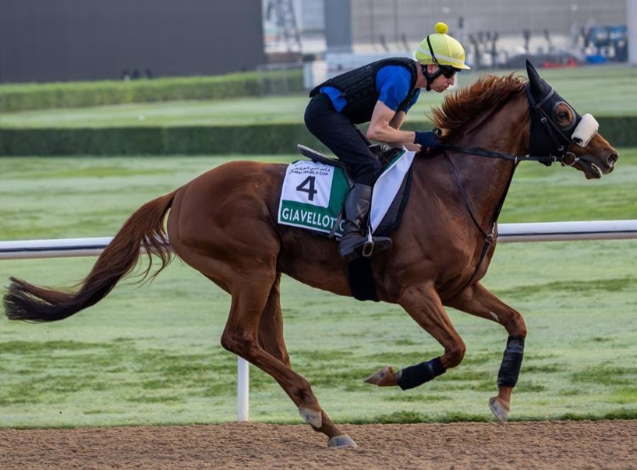 Giavellotto Dubai World Cup 2026 racing at international Group 1 level ahead of Dubai World Cup 2026