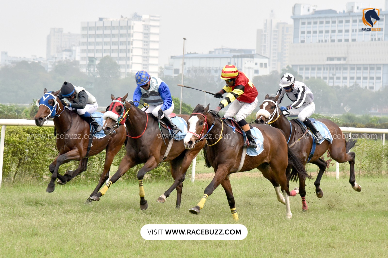 Kolkata Race Cards 26 March: Exciting Six-Race Programme