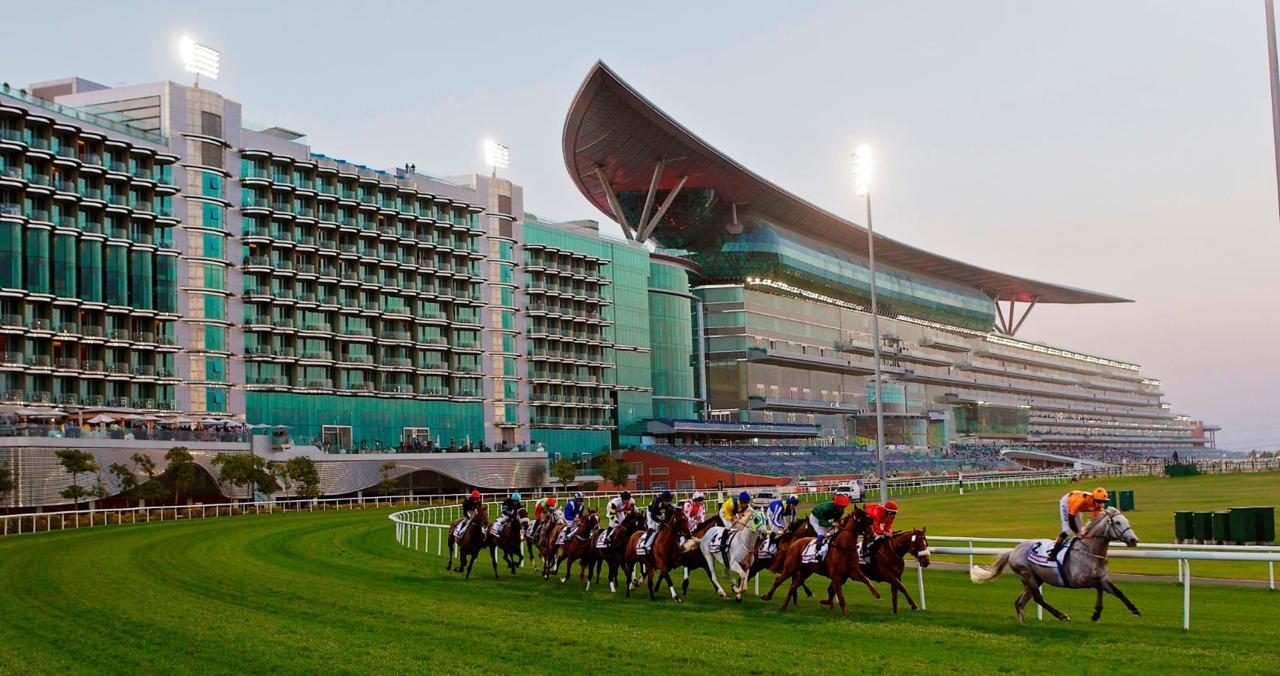 Dubai World Cup 2026 runners competing at Meydan Racecourse