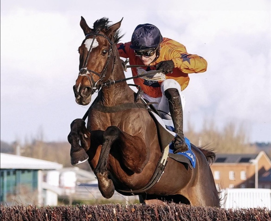 Newbury racecards 20 March at Newbury Racecourse