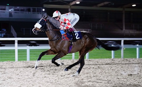 Southwell Race Cards 13 March evening racing on Tapeta surface