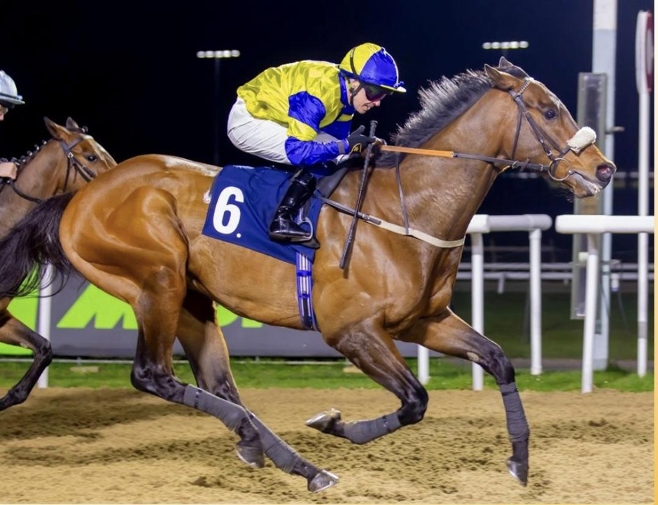 Wolverhampton race results 23 march all weather racing under lights