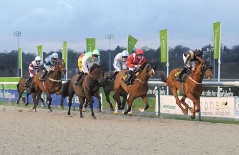Wolverhampton Race Cards 30 March – evening Tapeta racing action
