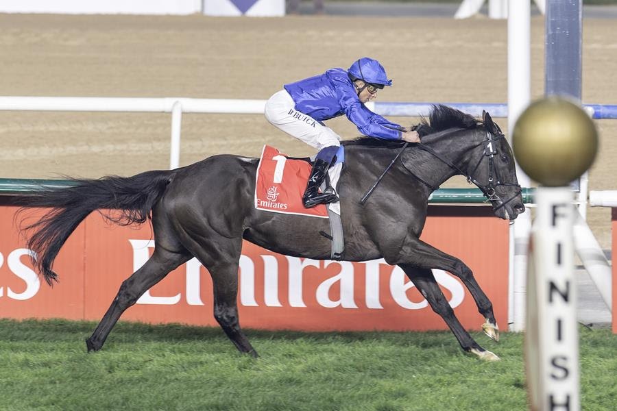Rebels Romance winning the Dubai City of Gold at Meydan Racecourse