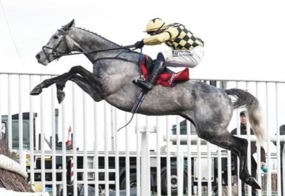 Kempton park racecards 14 march evening racing meeting preview