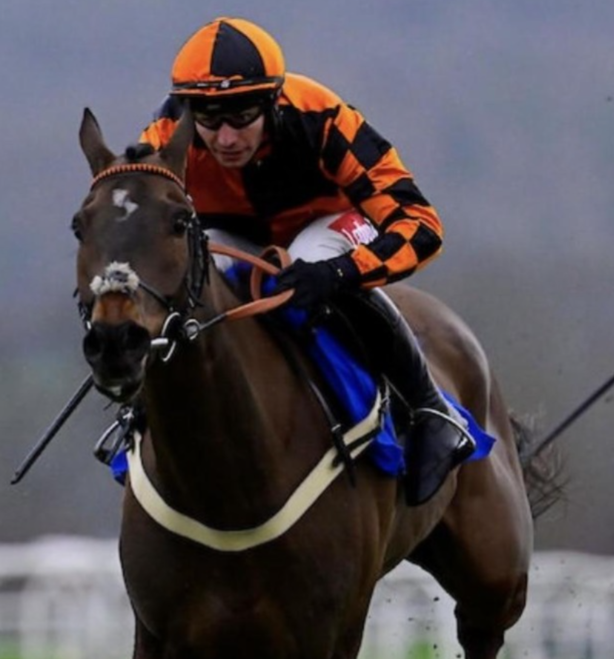 Taunton Race Results 9 March featuring Mecene winning the opening hurdle at Taunton Racecourse