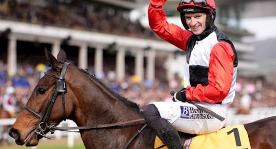 Apolon De Charnie winning the JCB Triumph Hurdle at Cheltenham Festival 2026