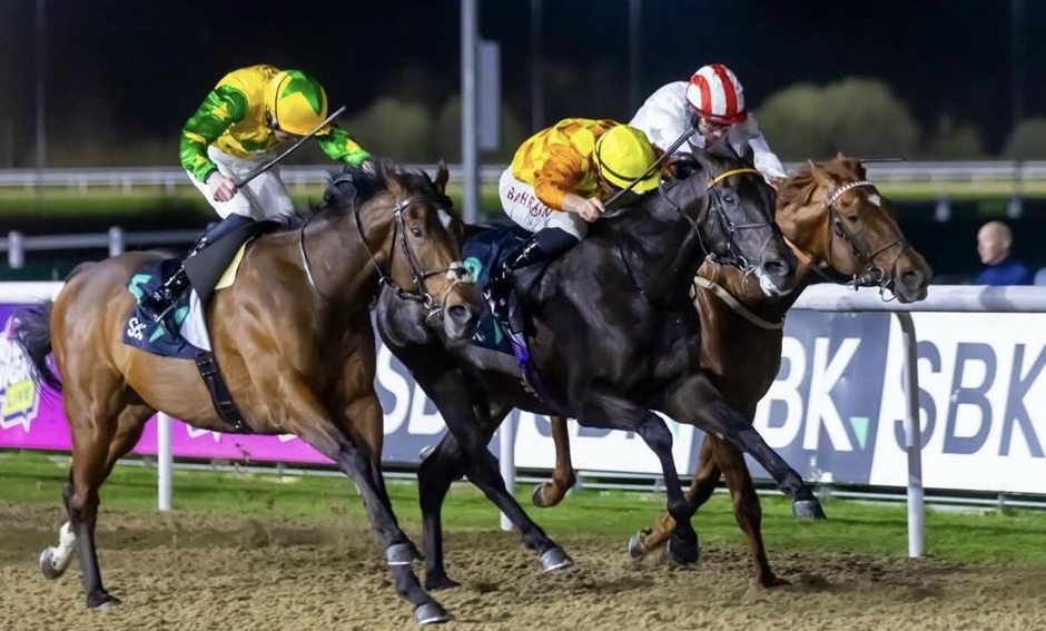 Wolverhampton race results 24 march all weather racing under lights