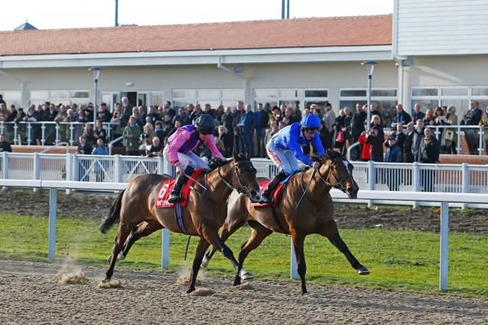 Chelmsford City Race Cards 26 March evening all-weather racing under lights