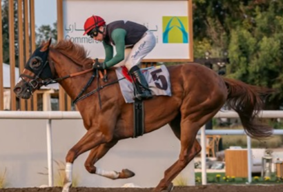 Jebel Ali Race Cards 15 March overview of seven races