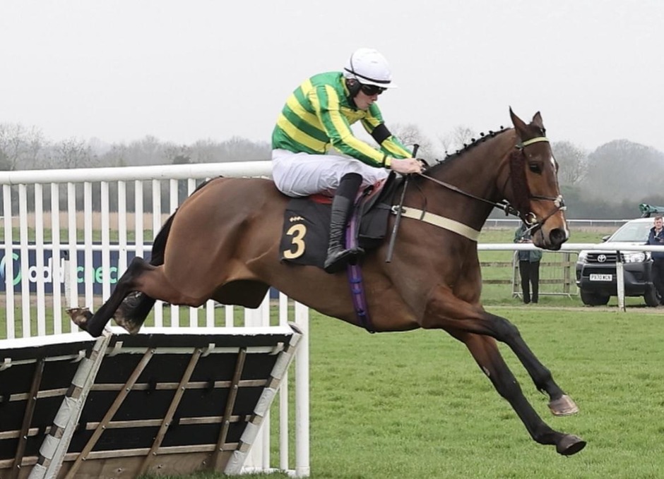 Warwick racecards 26 march jump racing action at Warwick Racecourse