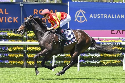 Horses lining up at Warwick Race Cards 11 March race day