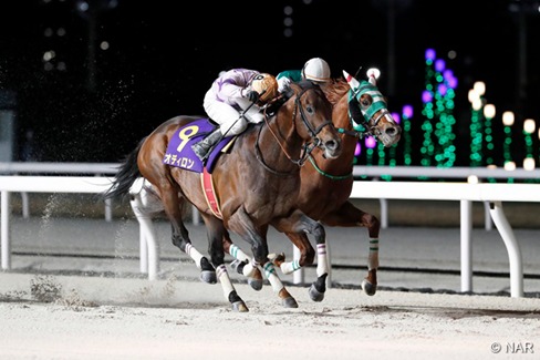 Nakayama Race Results 15 March Spring Stakes winner AUDACIA