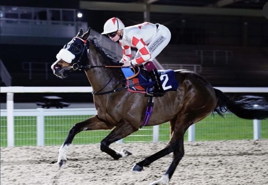 Southwell racecards 26 march all weather racing action at Southwell Racecourse