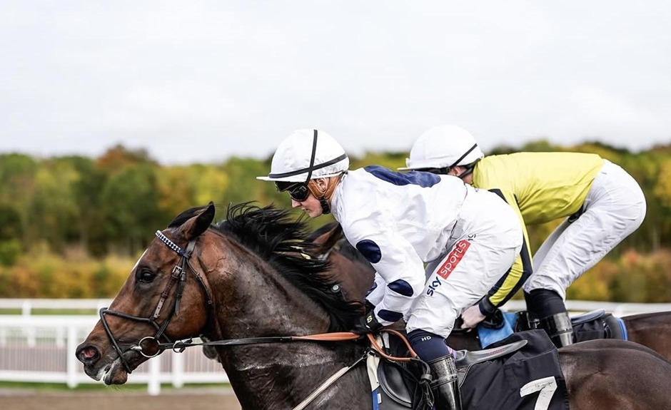 Chelmsford City racecards 12 march horses racing on the all weather track