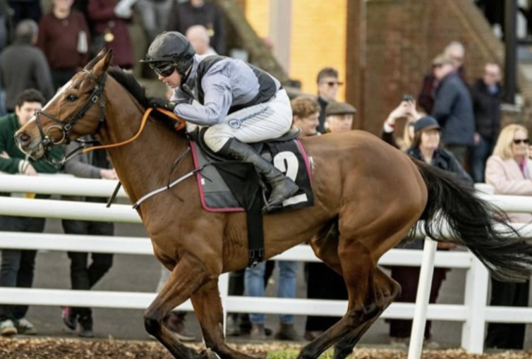 Plumpton racecards 16 March National Hunt racing