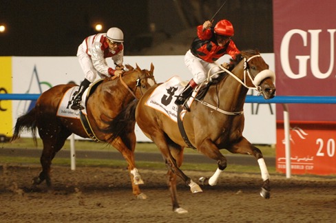 Meydan Race Cards 13 March at Dubai Racecourse
