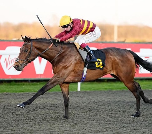 Kempton Park racecourse track and grandstand overview at Kempton Park Race Cards 23 March