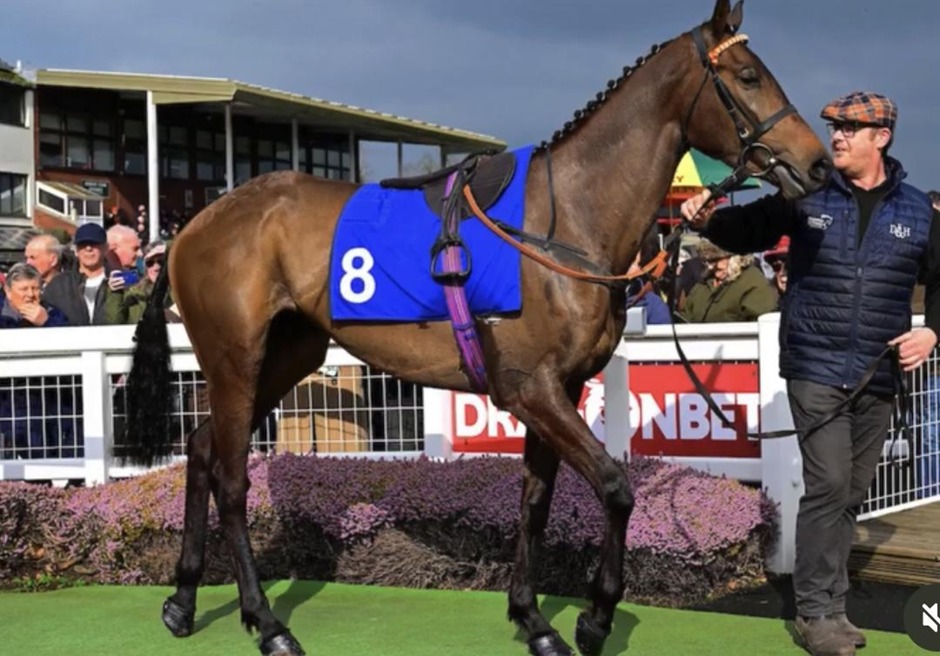 Taunton racecards 24 march jump racing action at Taunton Racecourse