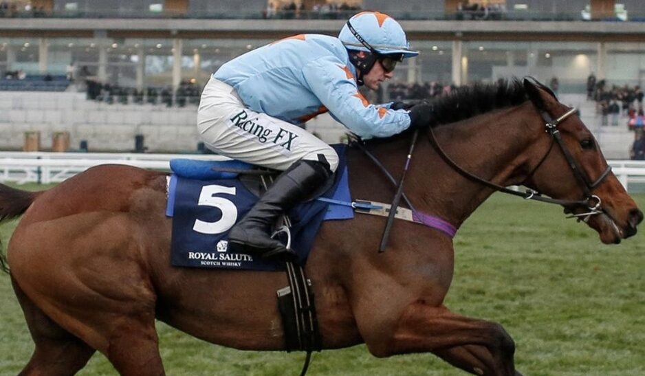 Ascot racecards 29 March horses lining up at Ascot Racecourse