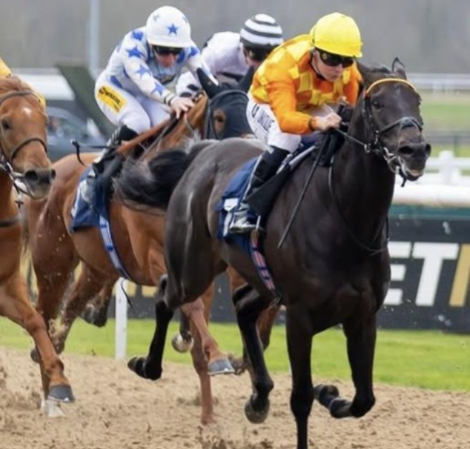 Wolverhampton Race Cards 9 March preview showing evening Tapeta racing card