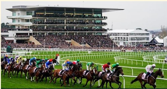 Old Park Star winning the Supreme Novices’ Hurdle at Cheltenham Festival 2026