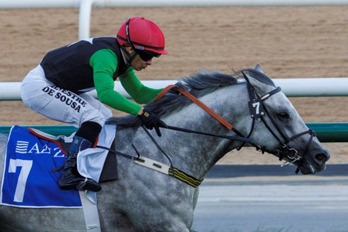 Meydan Race Cards 6 March race meeting at Meydan Racecourse Dubai