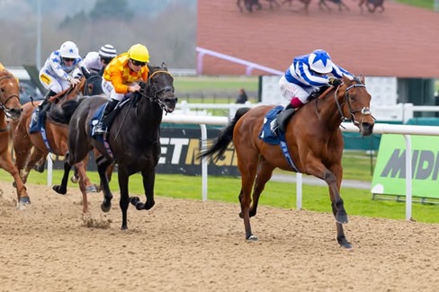 Wolverhampton Race Cards 13 March evening all-weather race meeting