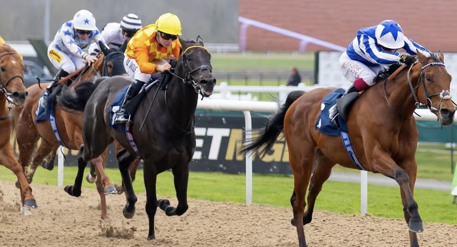Wolverhampton racecards 20 March at Wolverhampton Racecourse