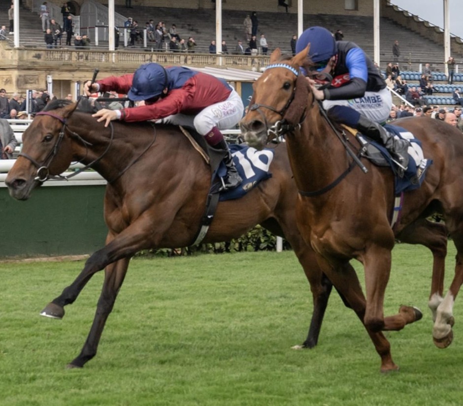 Doncaster racecards 28 march flat racing action at Doncaster Racecourse