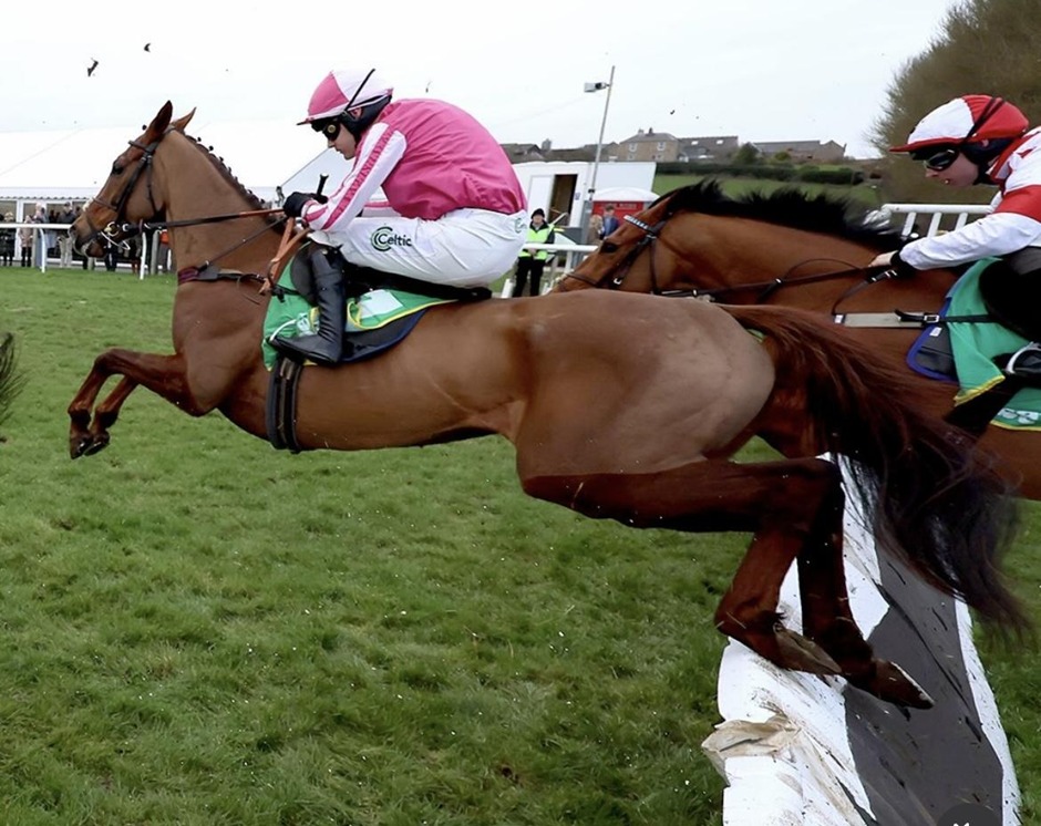 Kelso race results 21 march jump racing action at Kelso Racecourse