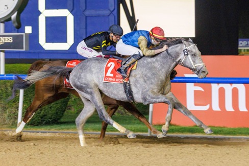 Meydan Race Cards 28 March Dubai World Cup night at Meydan Racecourse