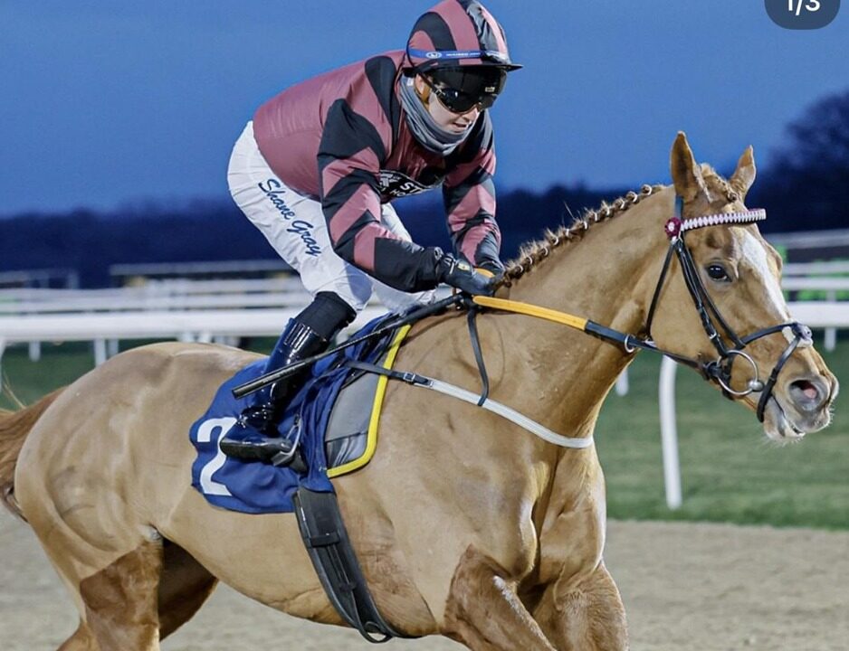 Wolverhampton racecards 7 march all weather racing action at Wolverhampton Racecourse