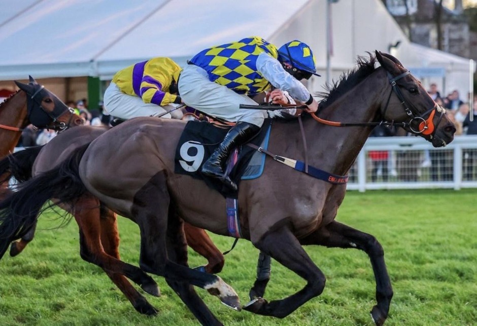 Kelso racecards 21 March National Hunt racing