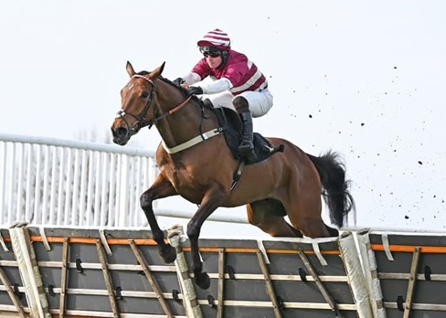 Wincanton Race Cards 23 March track and grandstand on race day