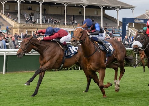 Doncaster Race Results 29 March showing winners and 2nd–3rd finishers