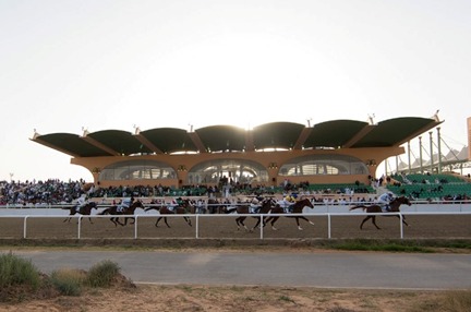 Al Ain Race Cards 5 March race action at Al Ain Racecourse