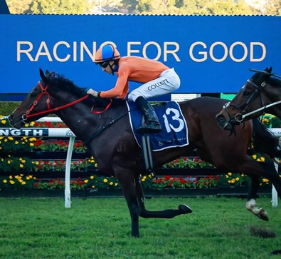 Warwick Race Results 4 March winners at Warwick Farm