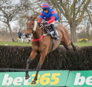 Uttoxeter Race Cards 14 March National Hunt racing meeting