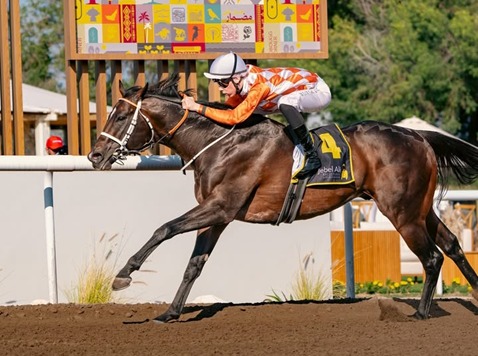 Jebel Ali Race Cards 8 March race meeting preview at Jebel Ali Racecourse