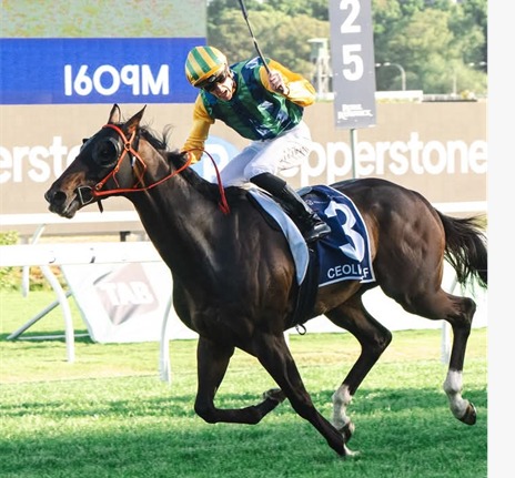 Rosehill Gardens Race Cards 14 March meeting at Rosehill Gardens Racecourse